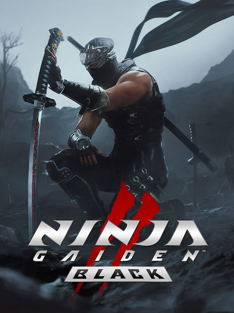Ninja Gaiden Black